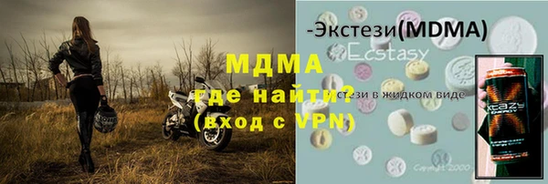 индика Инсар