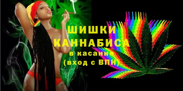индика Инсар