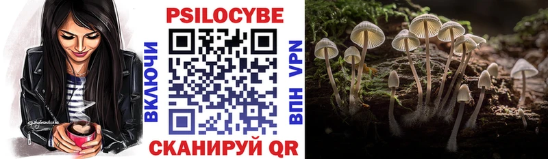 Галлюциногенные грибы Psilocybine cubensis  Купить закладки  Дедовск 